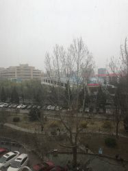 -北京妇产医院(东院)