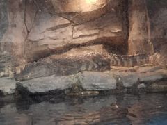-石家庄海洋公园