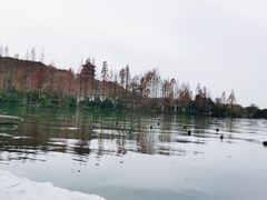 -西湖游船