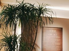 -经禅和·中医推拿(奥体恒山路店)