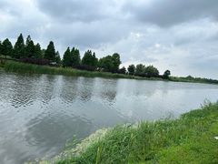 -羊亭河湿地公园