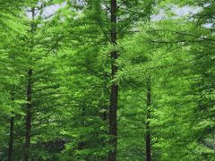 -南京市无想山景区