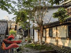 -小龙翻大江文化火锅(宽窄店)