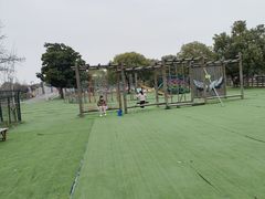 -苏州太湖西山岛开心农场