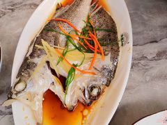 -外婆小聚茶餐厅·生日·团建(市民中心店)