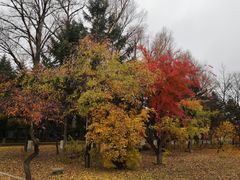 -吉林大学(南岭校区)