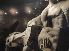 -天行健身＆天行拳馆跆拳道·格斗TXGYM