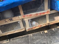 -哈尔滨道外花鸟鱼市场