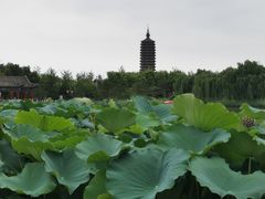 -西海子公园