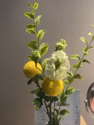 点击看大图 -美壹生皮肤管理中心