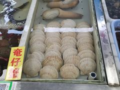 -南沙十九涌渔人码头-南门