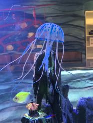 -酷嗒动物文化乐园(cutezoo西溪乐天城店)