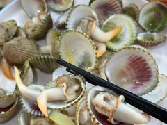 -蓝湾碧波·老字号·疍家非遗海上餐厅