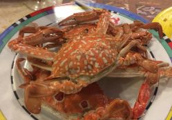 -阳光五洲大酒店·宴会厅