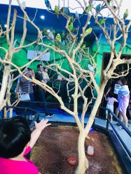 点击看大图 -未来动物城动物主题公园(大悦城店)