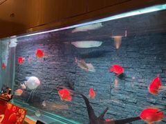 -手佳·水疗汇(嘉益店)