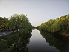 -溱湖国家湿地公园