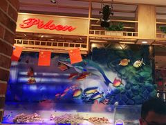 -比尔森韩式烤肉自助(国商店)