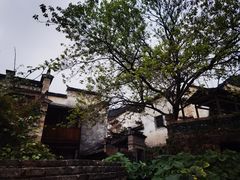 -塔川景区