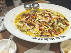 -太二酸菜鱼(沈阳万象城店)