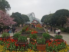 -南山植物园