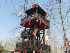 -合肥滨湖国家森林公园