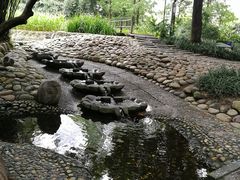 -成都市活水公园