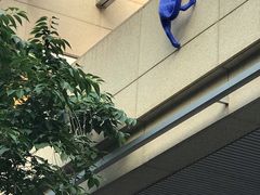 -中海环宇荟