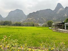 -明仕田园