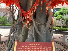 -济南方特东方神画