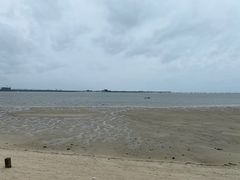 -北海金海湾红树林生态旅游区