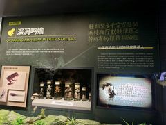 -四川大学博物馆