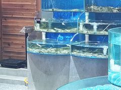 水产区-蓝珊甄选海鲜自助·火锅大排档(近阿那亚店)