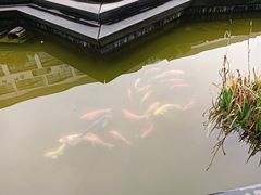 -杭州电子信息职业学校(丁桥校区)