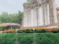-音乐台
