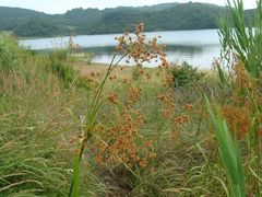 -浙西天池景区
