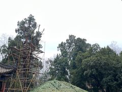 -武侯墓风景区