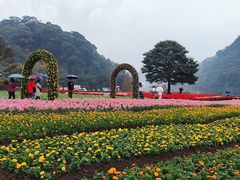 -广州市石门国家森林公园