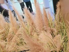 -晓宇重庆火锅(西安荟聚店)