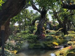 -Chom Cafe and Restaurant