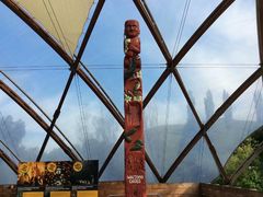 -怀托摩萤火虫洞