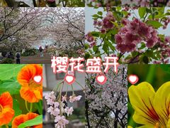 -南山植物园