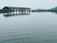-苏州太湖湖滨国家湿地公园