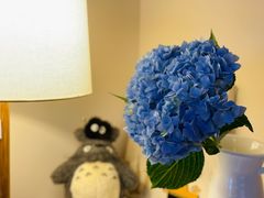 -盒马鲜生(馥邦国际店)