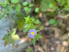 -九鼎铁刹山风景区