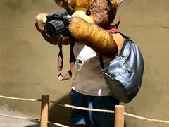 -成都泰迪熊博物馆