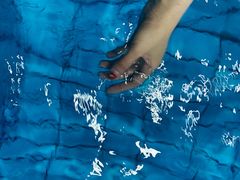 -齐汇维景大酒店游泳馆(山东政协大厦齐汇维景)