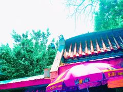 -金砂公园
