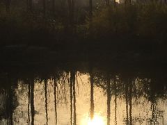 -新江湾城公园