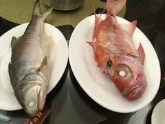 -吴记富苑(朝阳店)